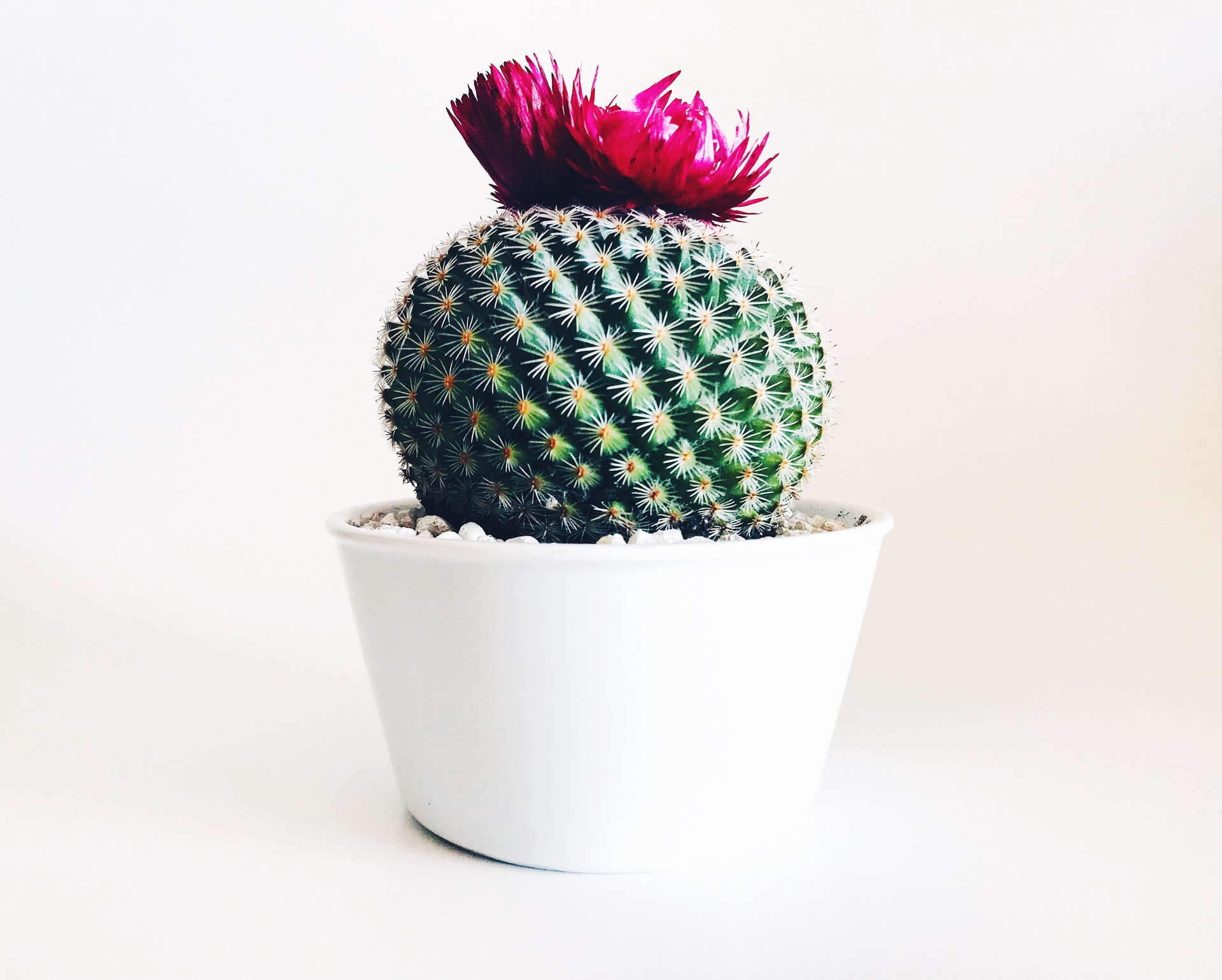 Selection of plants
